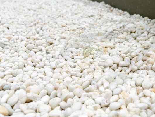 Close-up of white pebbles