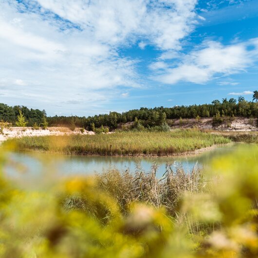 Restored sand pit with a lake, reeds, and surrounding forest under a blue sky.