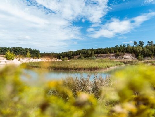 Restored sand pit with a lake, reeds, and surrounding forest under a blue sky.