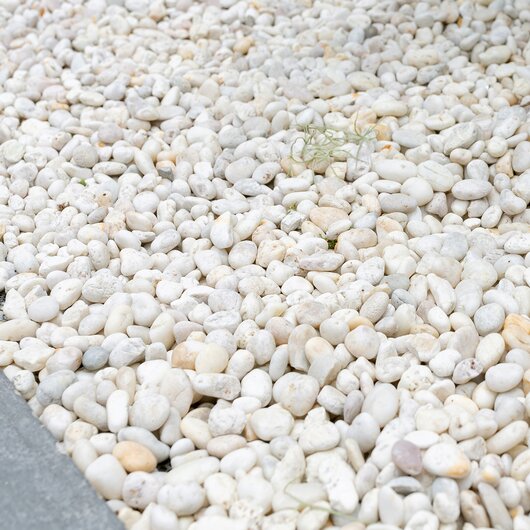 Area of smooth white decorative pebbles beside a gray stone edge.